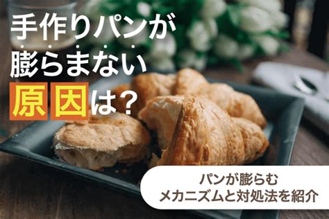 手作りパンが膨らまない原因は？ 通信講座のsaraスクール資格講座