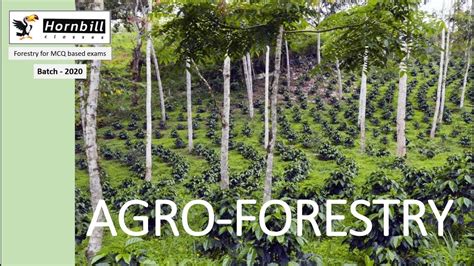 31. RPSC-ACF 2020 | Agroforestry System 1 - YouTube