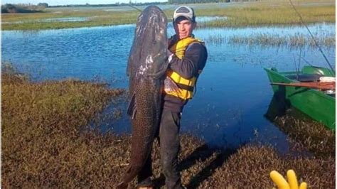 Villa del Rosario jóvenes pescaron un surubí de 40 kilos