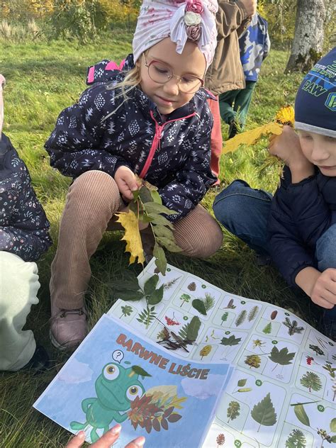 Projekt edukacyjny Kameleon Szkoła Podstawowa w Mirachowie