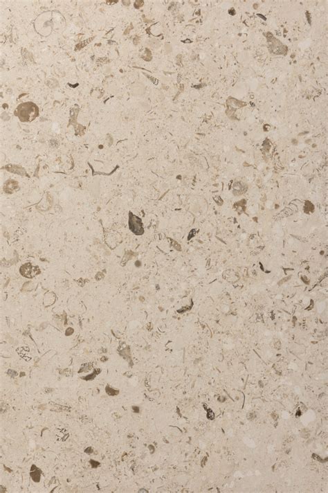 Shellstone Brushed Limestone Tile Kitchen Bathroom Tiles