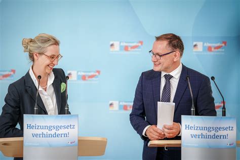 Neuer H Chstwert Afd Erreicht In Umfragen Prozent W Hleranteil