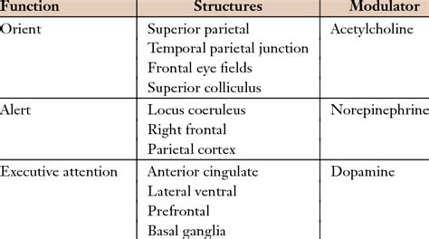 A Summary Of The Anatomy And Chemical Modulators Involved In The Download Table