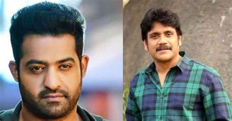 Jr Ntr And Nagarjuana Relationshio In Tollywood