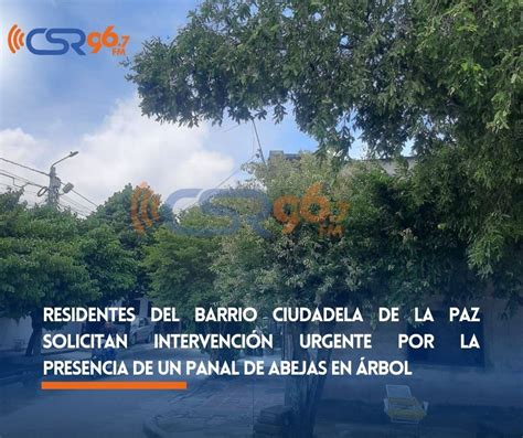 RESIDENTES DEL BARRIO CIUDADELA DE LA PAZ SOLICITAN INTERVENCIÓN