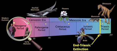 End-Triassic Extinction - Sam Noble Museum