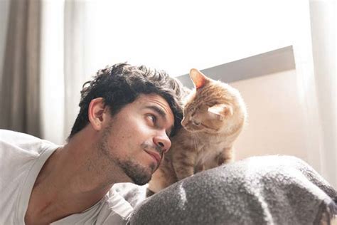 猫系男子の特徴とは？性格や恋愛傾向、効果的な落とし方や扱い方 Enjyo エンジョー