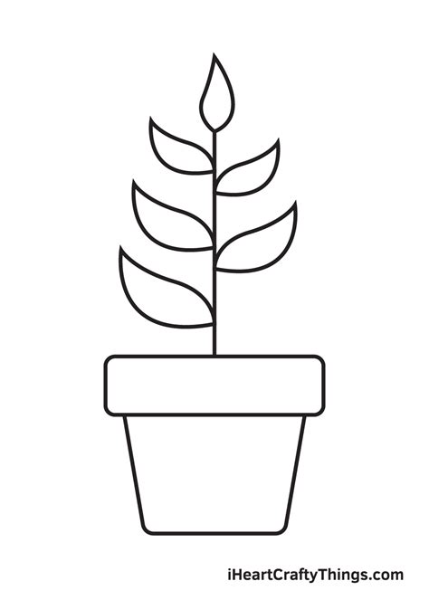 Plant Drawing — How To Draw A Plant Step By Step