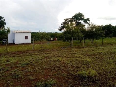 S Tio De Hectares Na Regi O De Acorizal Mt Na Comunidade Retiro