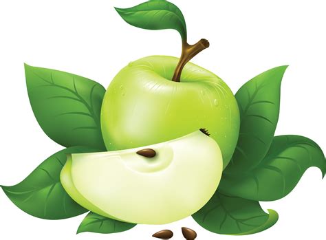 Green Apple Png Image Transparent Hq Png Download Freepngimg