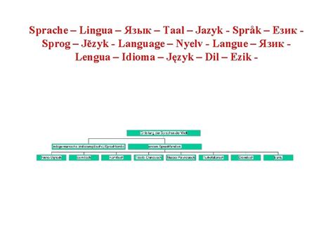 Sprache Lingua Taal Jazyk Sprk Sprog Jzyk Language