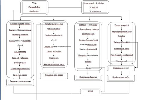 Pneumonia Clinical Pathway