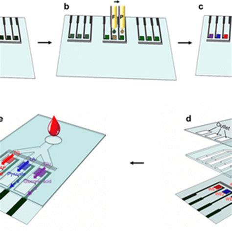 Schematic Illustration Of The Design And Fabrication Of The