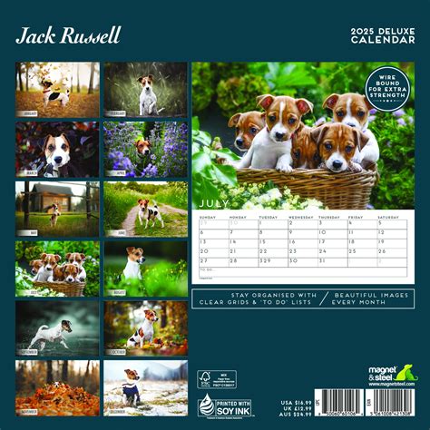 Jack Russell Terrier Calendario Comprar Orden F Cilmente En