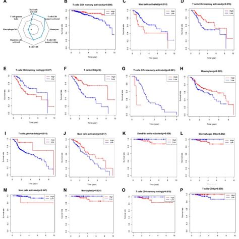 Prognostic Value Of 22 Tumors Infiltrating Immune Cells Across Seven Download Scientific