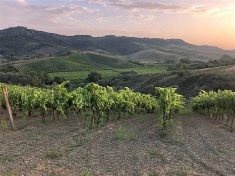 belba canteen routes  culture