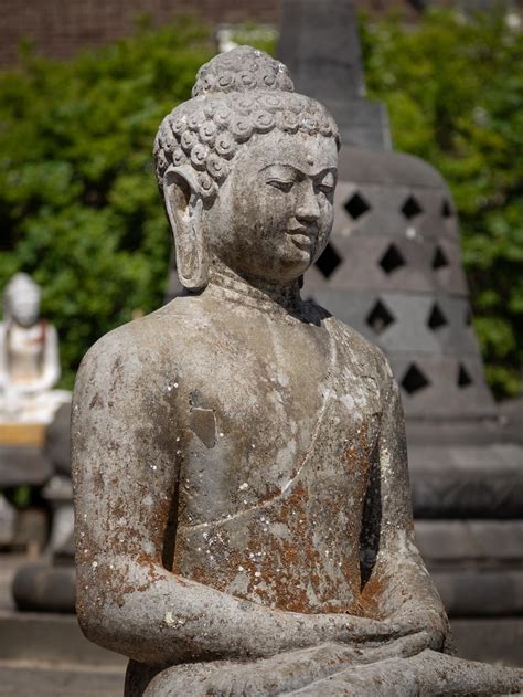 Mid 20th Century Large Old Lavastone Buddha Statue In Dhyana Mudra For