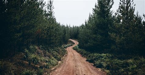 Dirt Road · Free Stock Photo