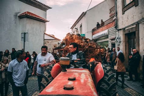 Penamacor E O Maior Madeiro De Portugal Gato Vadio Travel Blog