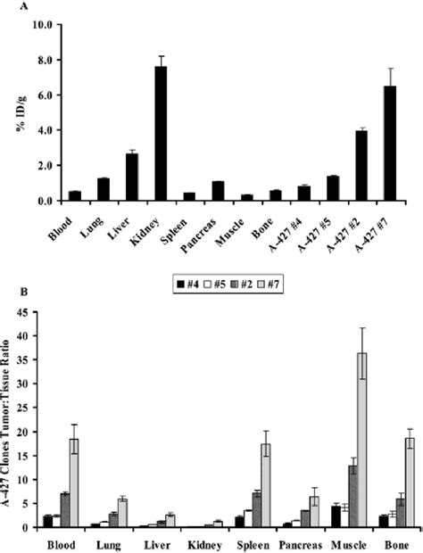 Biodistribution Of Cuteta Oc In Athymic Nude Mice Bearing Xenografts