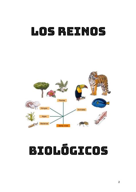 Reinos Biol Gicos Monografista Pdf