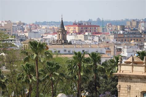 Sevilla Daily Photo Vistas De Sevilla Desde El Hospital Virgen Macarena