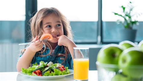 Todo lo Que Debes Saber Sobre Alimentación Saludable para Niños Kibo