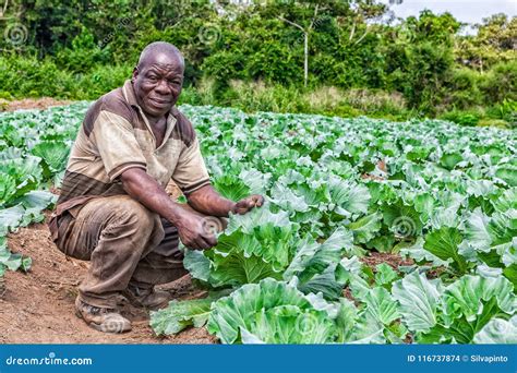 CABINDA/ANGOLA - 09 JUN 2010 - Portrait of African Rural Farmer in ...