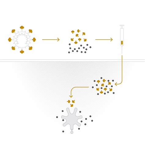 How the Novavax technology is different from other coronavirus vaccines ...