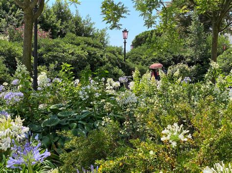 I Giardini Reali Di Venezia Una Vera Rarit Abbanews