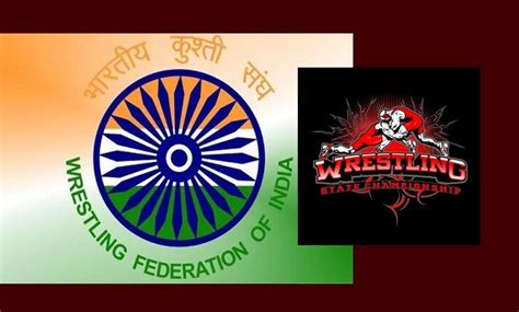 Govt Green Signal For Wrestling Federation Of India Elections Directs To Ioa To Set Up Ad Hoc