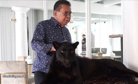 The Ultimate Fur Dad Chavit Singson Plays With Pet Black Leopard