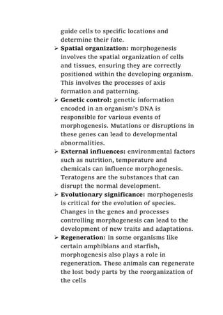 Cellular Basis Of Morphogenesis Docx