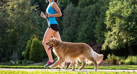 4 Razones Para Salir Con Tu Mascota A Correr Estilo De Vida Perucom