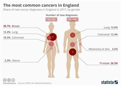 Infographic The Most Common Cancers In England Cancer Health Info