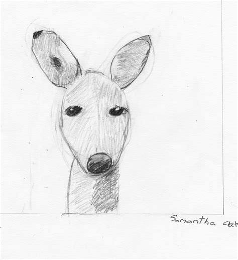 Animal Drawing Classes Doe By Samantha Proportions Shapes Volume And
