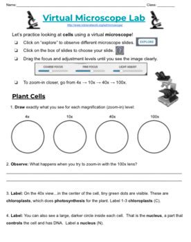 Virtual Microscope Lab Nc Bionetwork Online Interactive Sheet Tpt