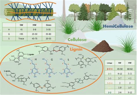 Just Accepted Beaucamp Et Al Lignin For Energy Applications State