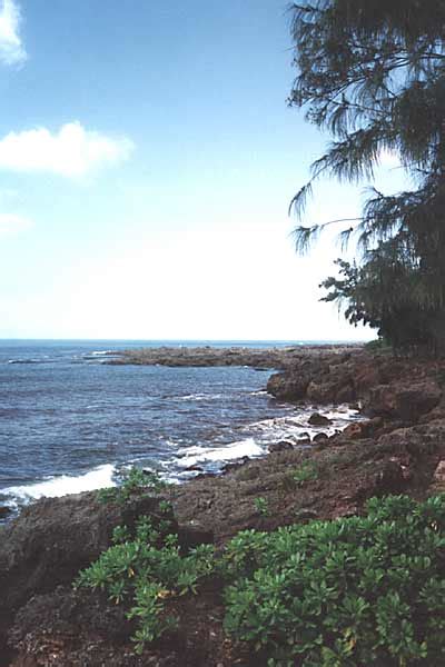 Photo: Beach Scenery (Oahu, Hawaii)