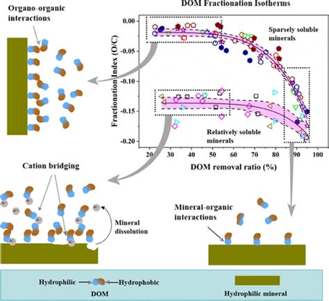 Controls Of Mineral Solubility On Adsorption Induced Molecular