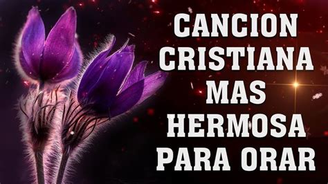 Las Mejores Canciones Cristianas Hermosas Alabanzas Cristianas De