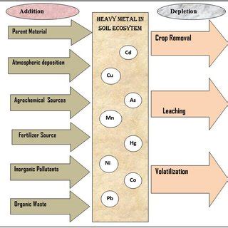 Sources of heavy metal pollution in soil (Adapted from Wuana and... | Download Scientific Diagram