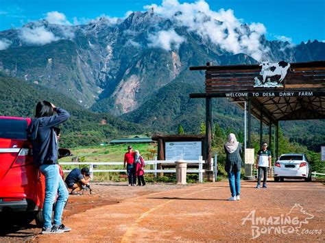 dn kundasang getaway kinabalu park poring hot spring canopy walk