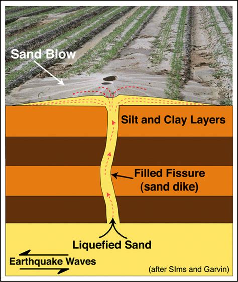 Liquefaction Earthquake