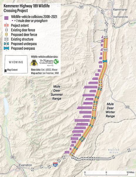 Wildlife Collisions Pinedale Online News Wyoming