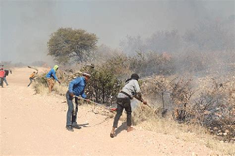 Veld fires destroy nearly 600 000 ha - Namibia