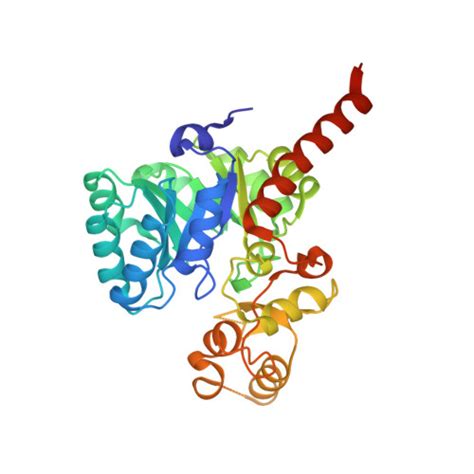 Rcsb Pdb 2z6j Crystal Structure Of S Pneumoniae Enoyl Acyl Carrier