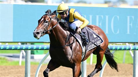 Storm Boy wins $3 million two-year-old Magic Millions Classic | Gold ...