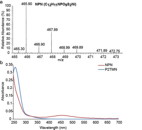 Spectra Of Npn A Npn Identification By Ms In Negative Ionization