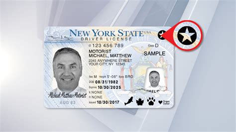 New York License 2022